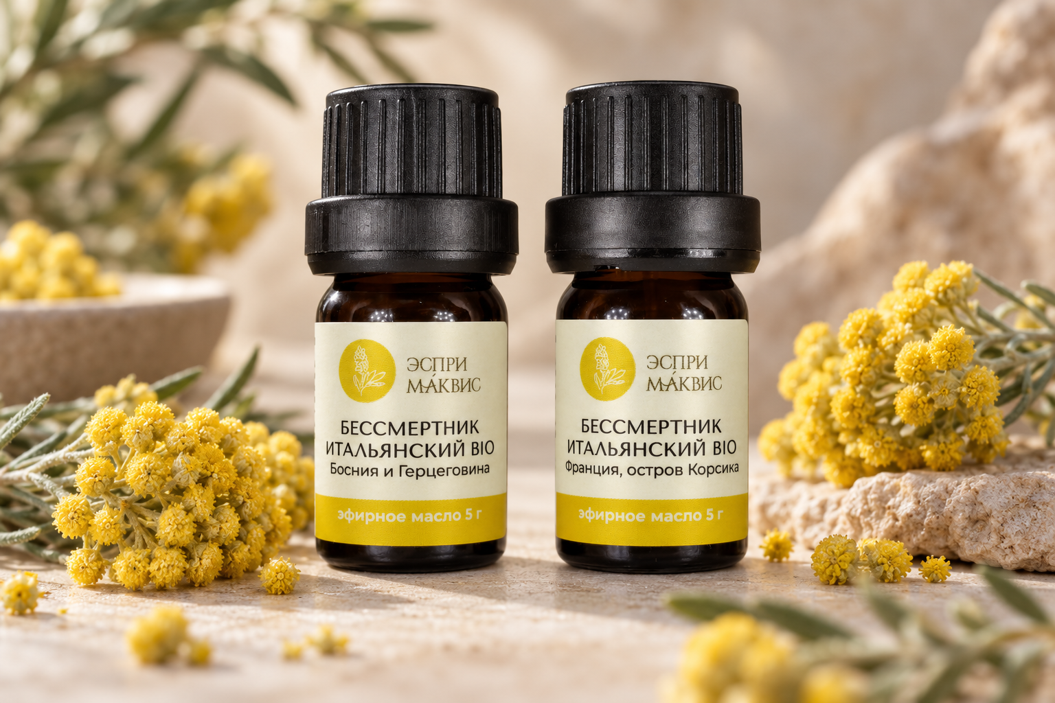 Бессмертник итальянский Helichrysum italicum — Корсика и Босния и Герцеговина